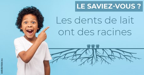 https://selarl-ercd.chirurgiens-dentistes.fr/Les dents de lait 2
