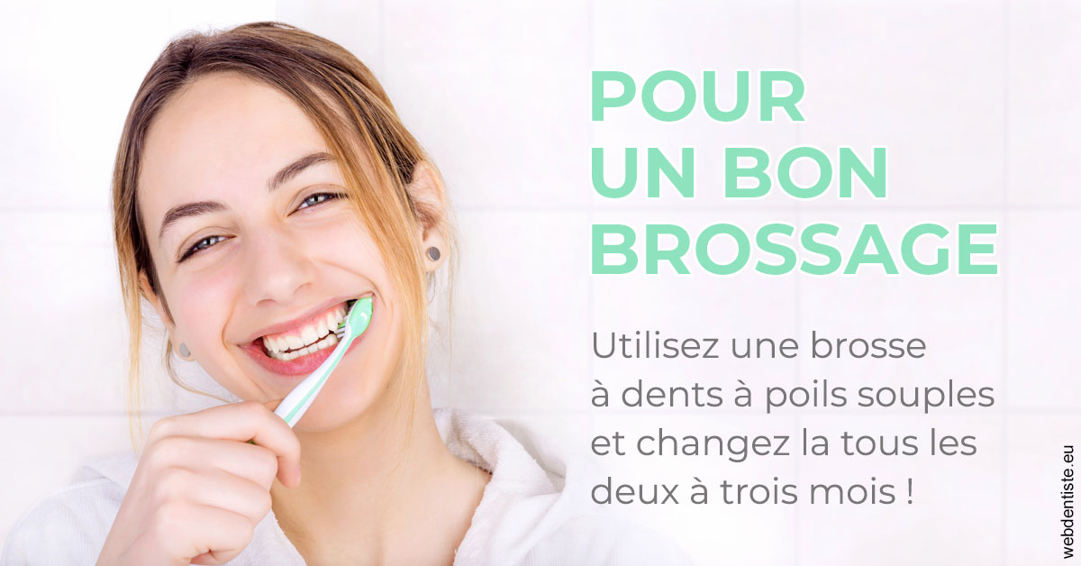 https://selarl-ercd.chirurgiens-dentistes.fr/Pour un bon brossage 2